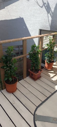 Garden Trellis Netting Plant Netting Trellis Net Strong Support Trellis Netting Plant Net Garden Trellis for Cucumber Tomatoes photo review