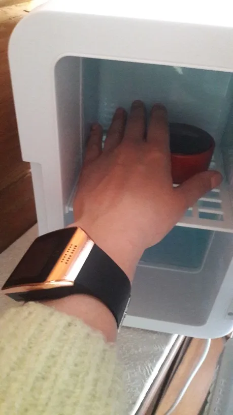 Mini Refrigerator Portable Cooler photo review