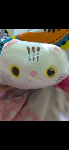 20cm Cute Soft Cat Plush Pillow photo review