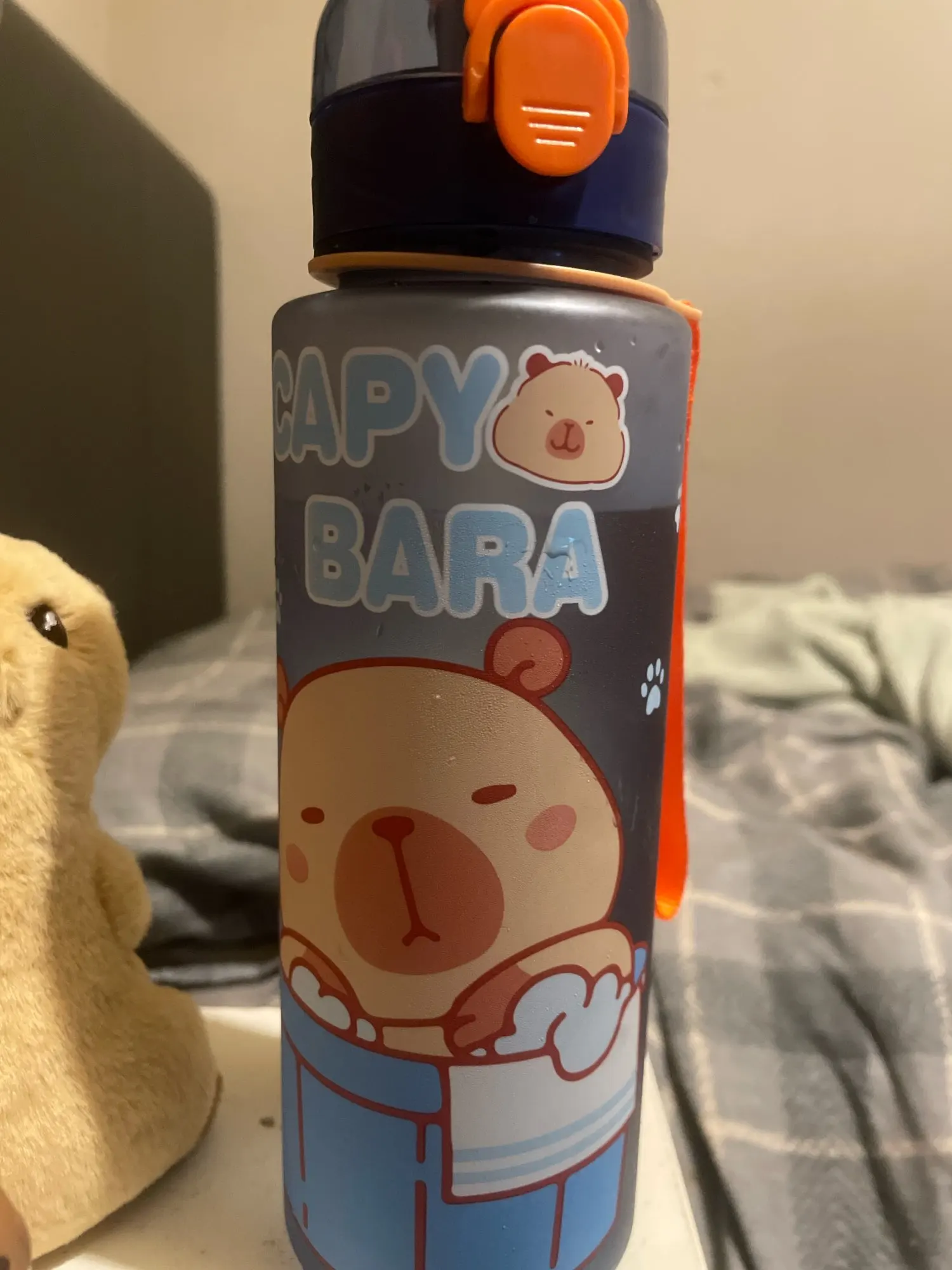 Gourde d'Eau Capybara Bleu 750ml