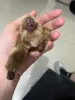 Изображение товара 1