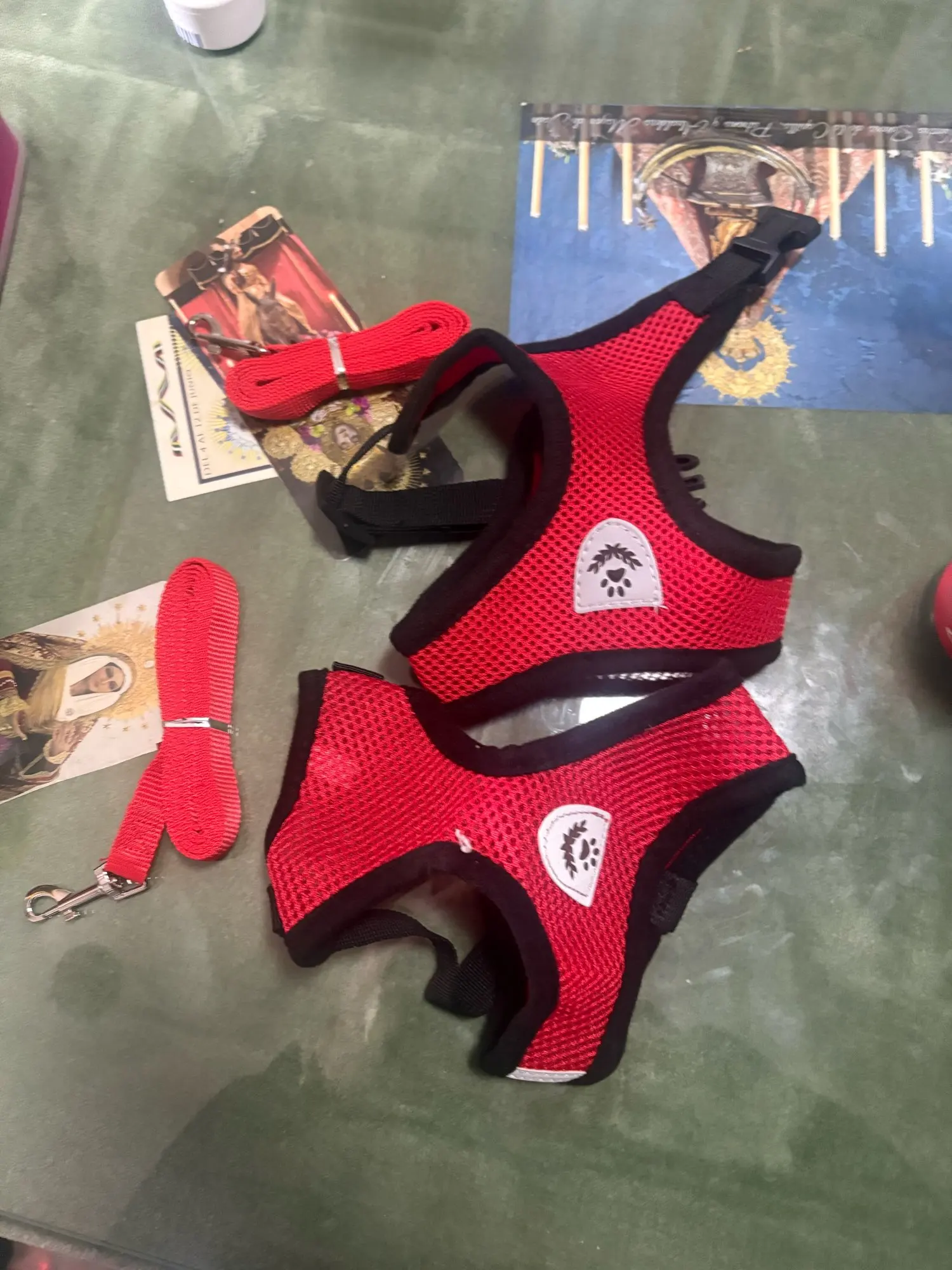 Summer Cat Dog Harness Lead Leash Adjustable Vest Polyester Mesh photo review