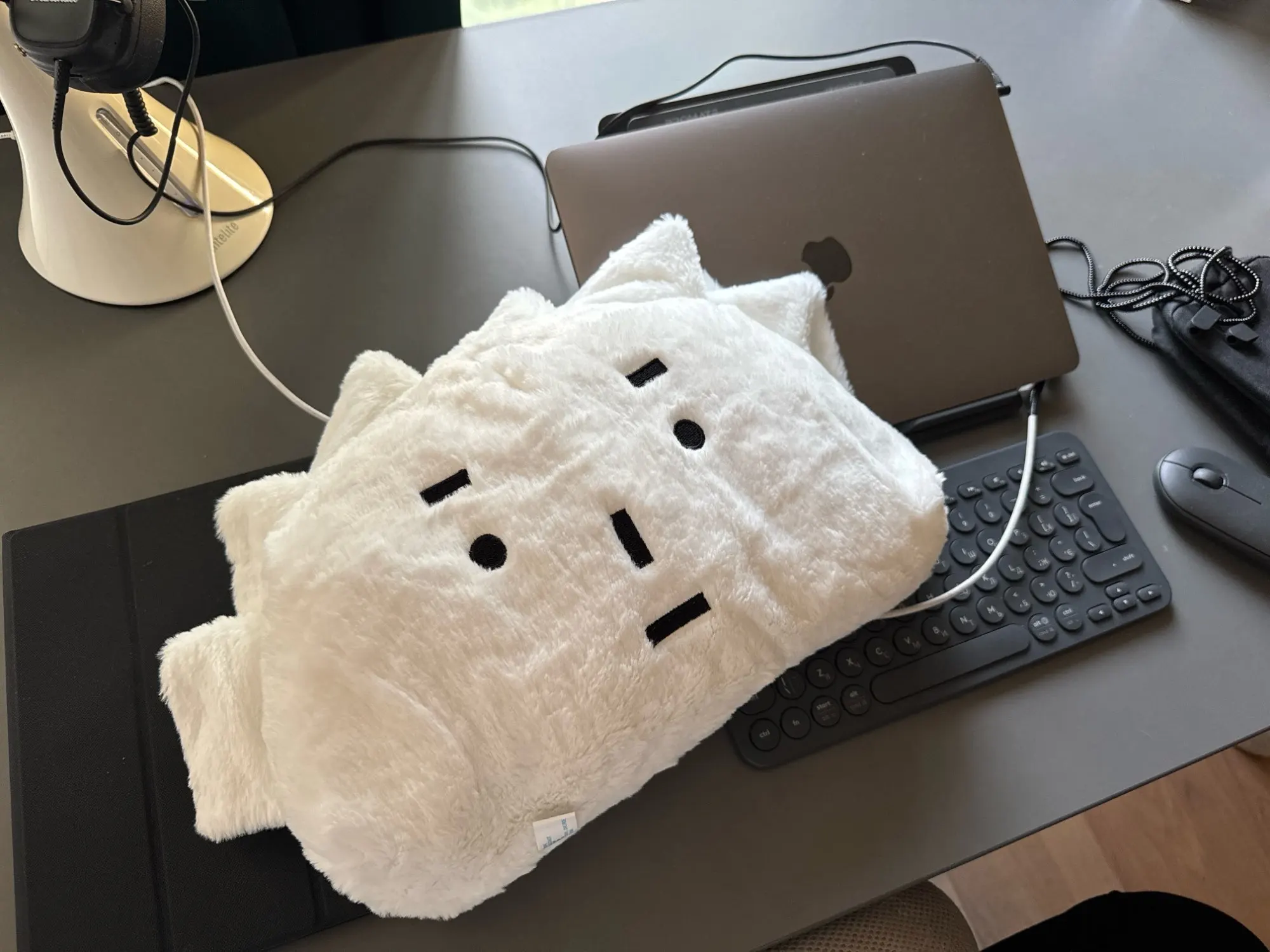 Soft Dumpling Plush Pillow, customer photo