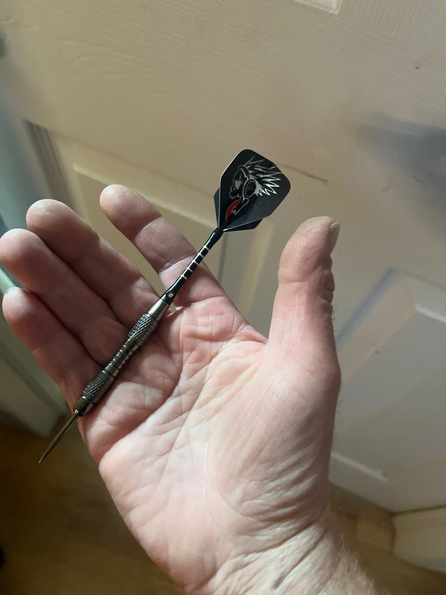 Fléchettes Tungstène 20g – Lot de 3 Pointes Acier Tiges Aluminium Noir photo review