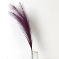 Dark Purple