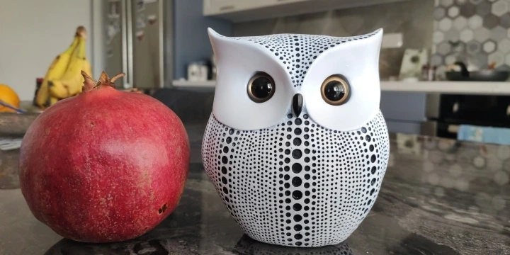 Whimsical Nordic Owl,  Charming Home Decor Accent photo review
