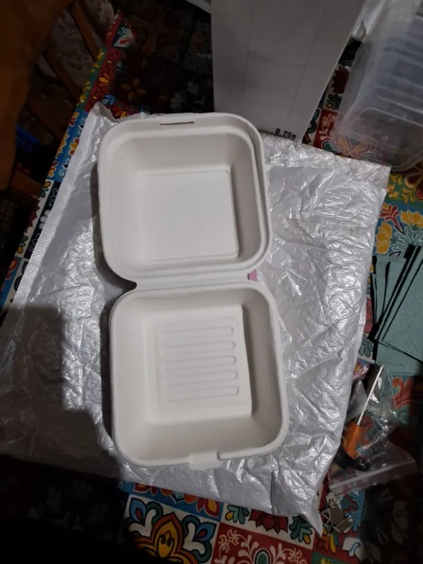 Disposable Lunchbox Bento Food Containers Baking Dessert Microwavable Burger Snack Boxes Cake Bowl Picnic Camping 10PCS photo review