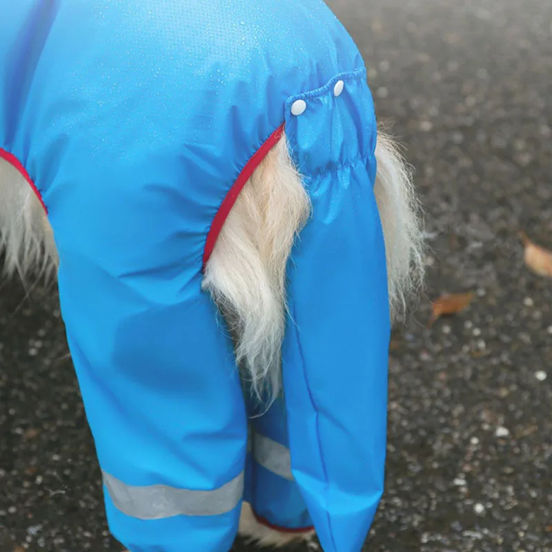 Blue Dinosaur Raincoat With Cover Tail Raincoat For Dog
