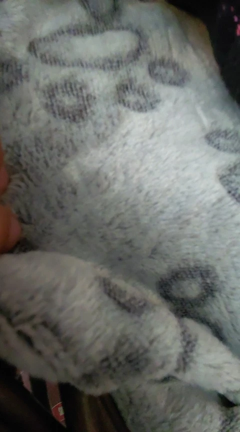 Soft Fluffy High Quality Pet Blanket photo review