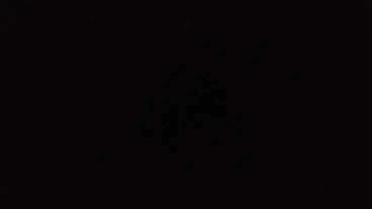 Women Casual Long Sleeve T-Shirts Spring Autumn Solid Slim Fit Pullovers Tees Shirts Female Streetwear Base Tees Tops  Casual photo review