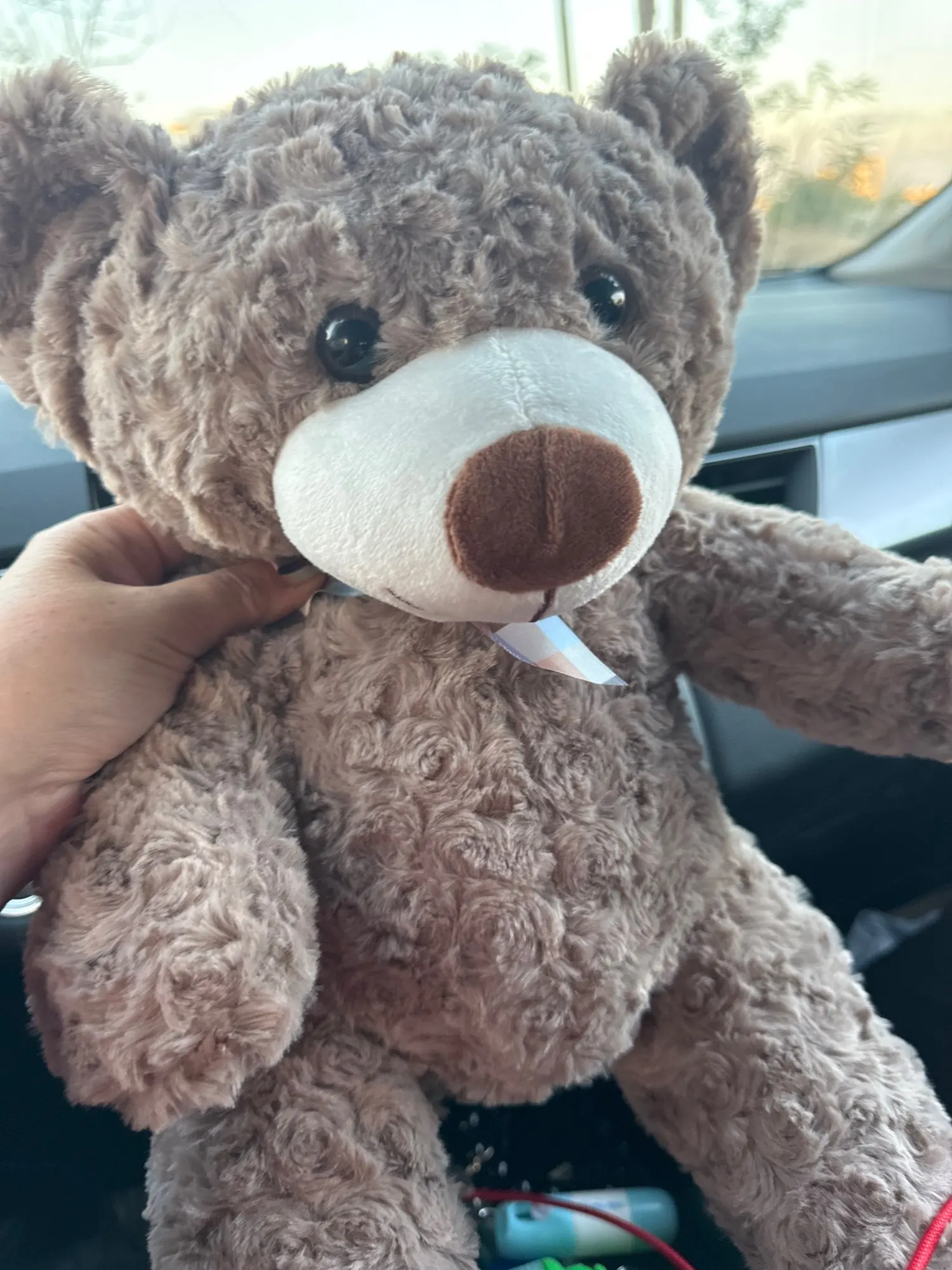 Cute Teddy Bear Plush Pillow photo review