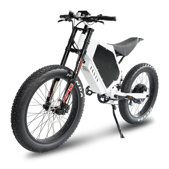 OEM ODM Ebike 전기 자전거 공장