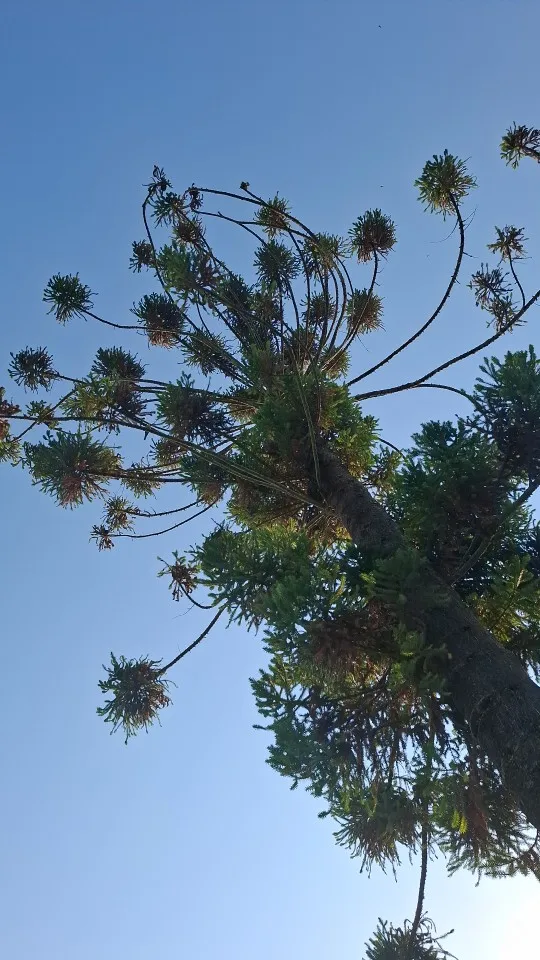 Review picture Review picture