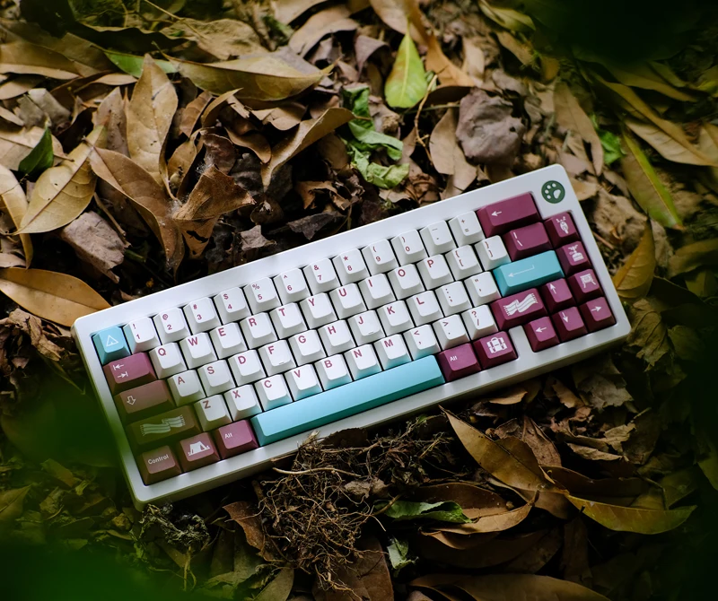 teclados e mouses