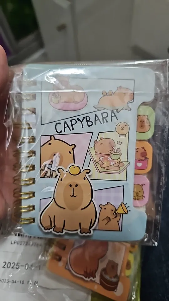 Capybara Notebook Collection photo review