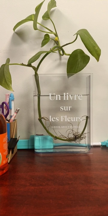 Translucent Book Vase, customer photo