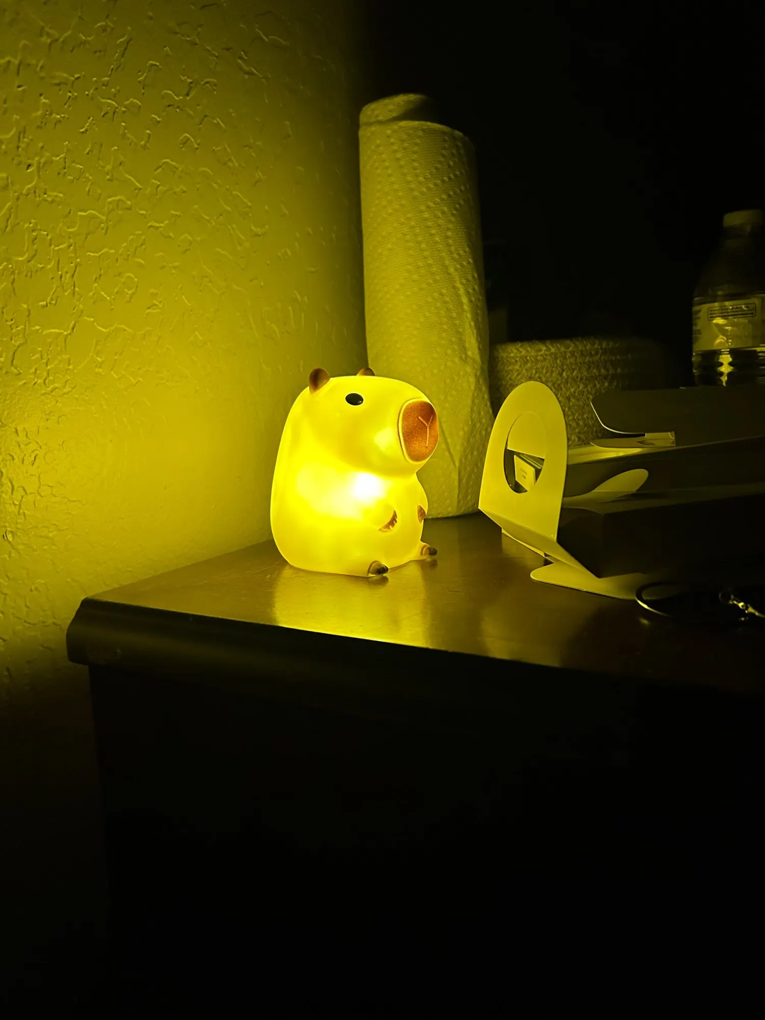 Charming Capybara Night Light for Kids photo review