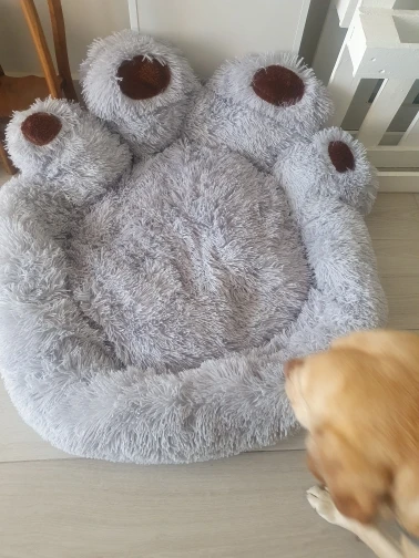 Snuggle Paws Sofa Bed: Cozy Comfort for Pets of All Sizes photo review