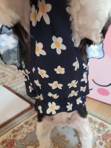 Cute Floral Dress For Dogs - What To Wear For This Summer Coming? photo review