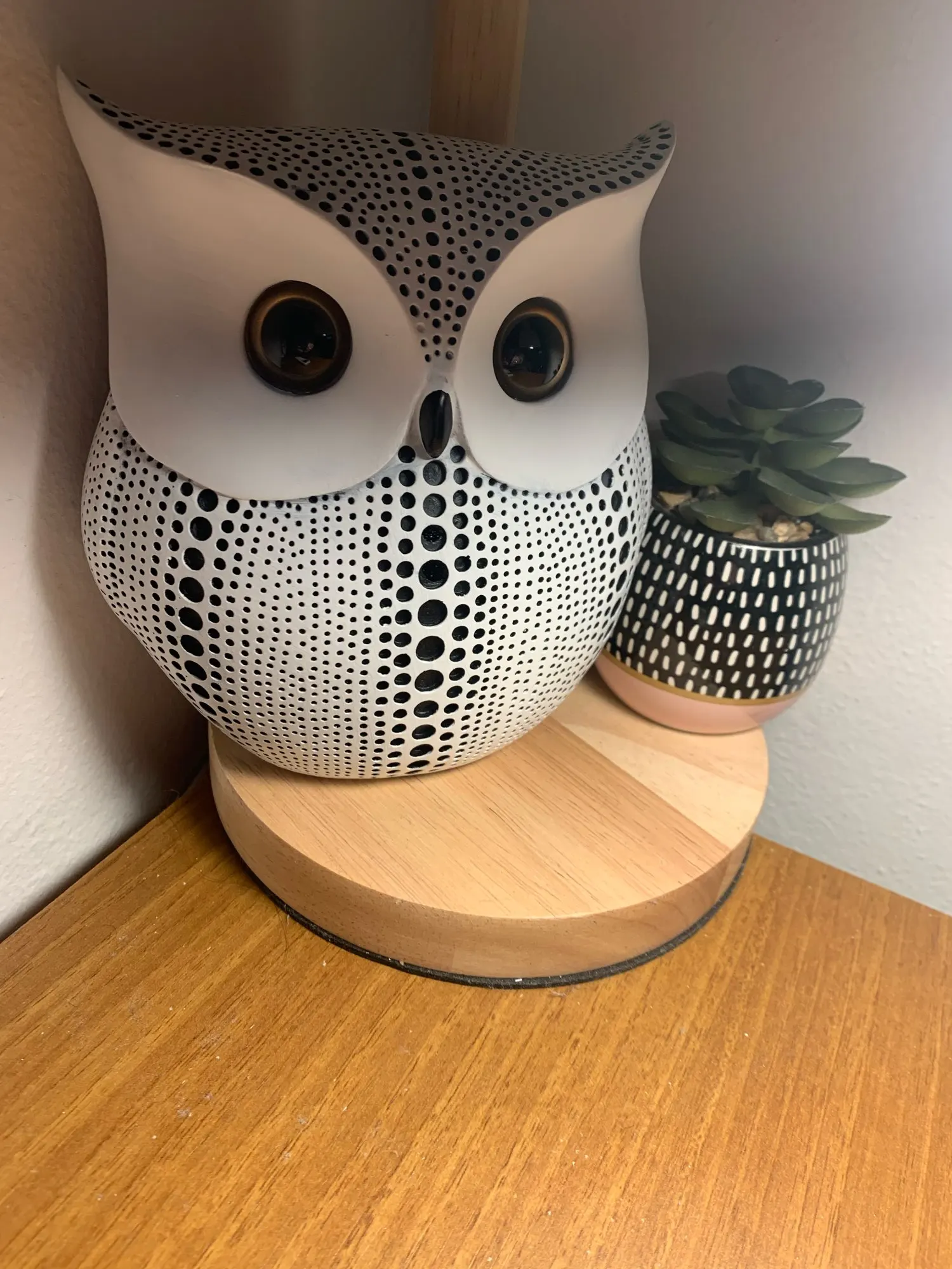 Whimsical Nordic Owl,  Charming Home Decor Accent photo review