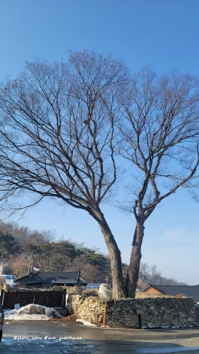 Metal Hot Rotating Candle Holder photo review