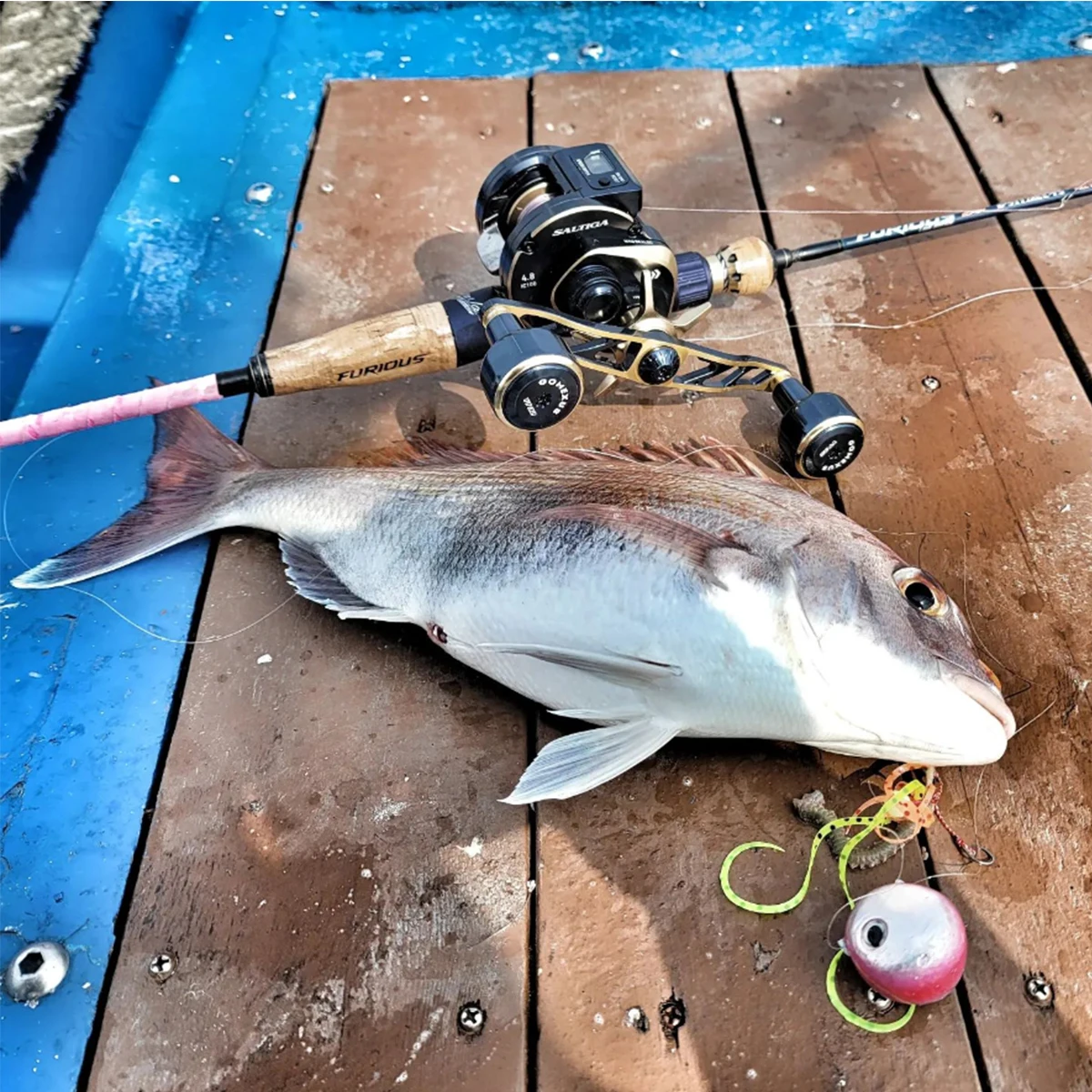 Gomexus Saltwater Reel Jigging Tuna Shark Fishing 30lbs 15w Left