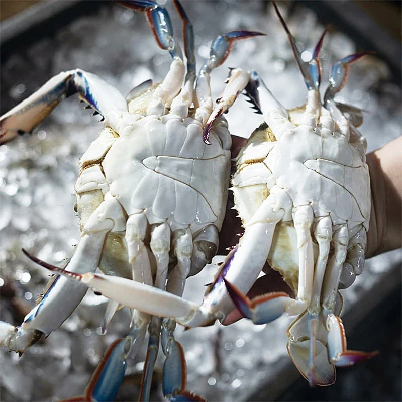 연평도 냉동 숫꽃게 1kg (4~6미) 