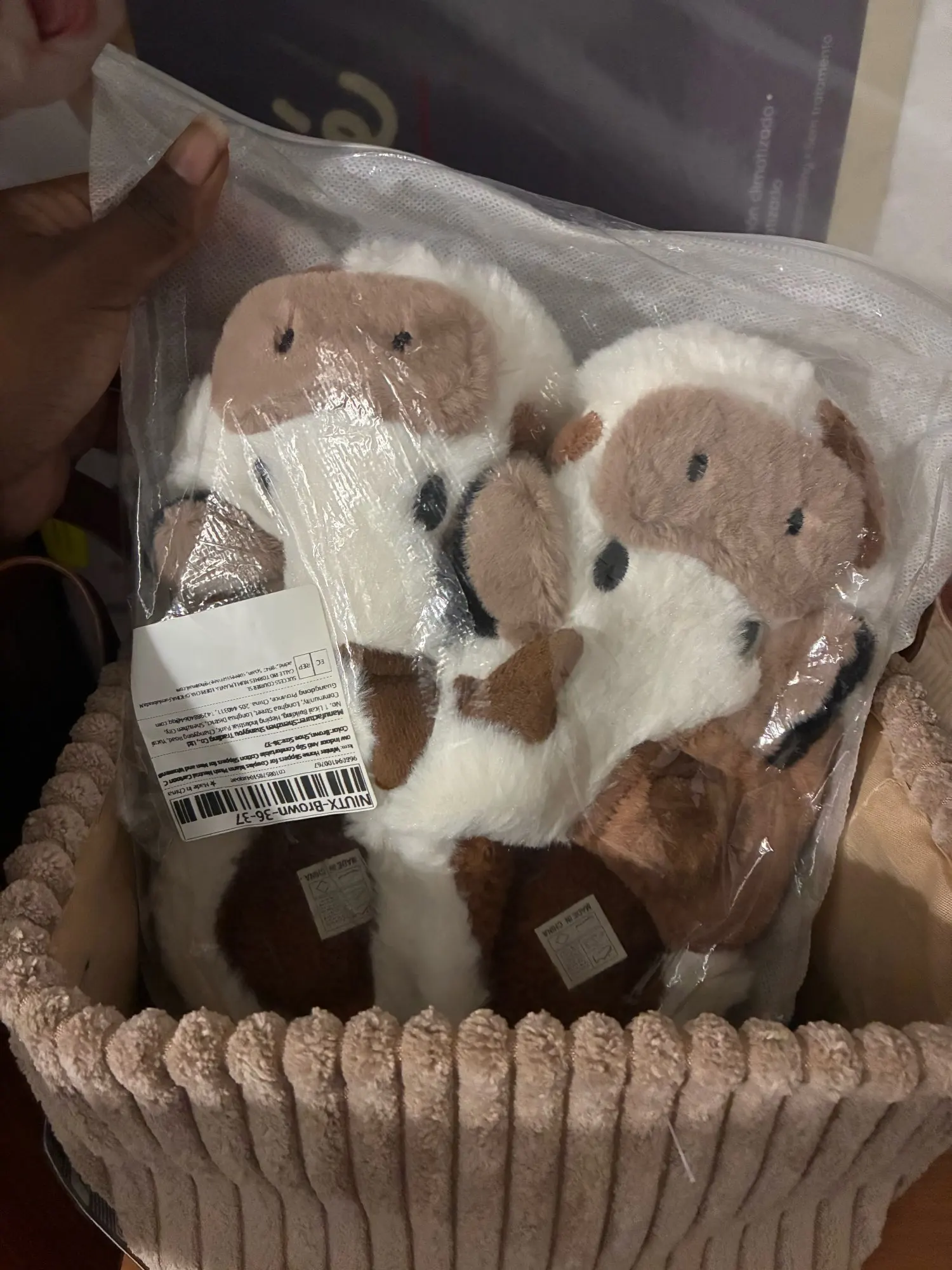 리뷰 사진