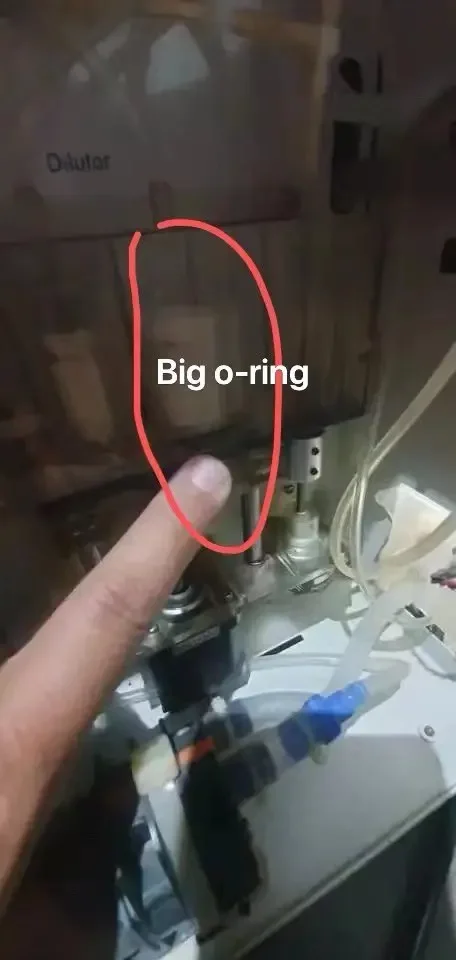 thumb