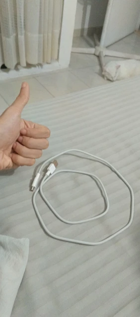 GaN USB Charger Total 67W Fast Charging Wall Phone Adapter USB TypeC Cable Quick Charge 3.0 Plug photo review