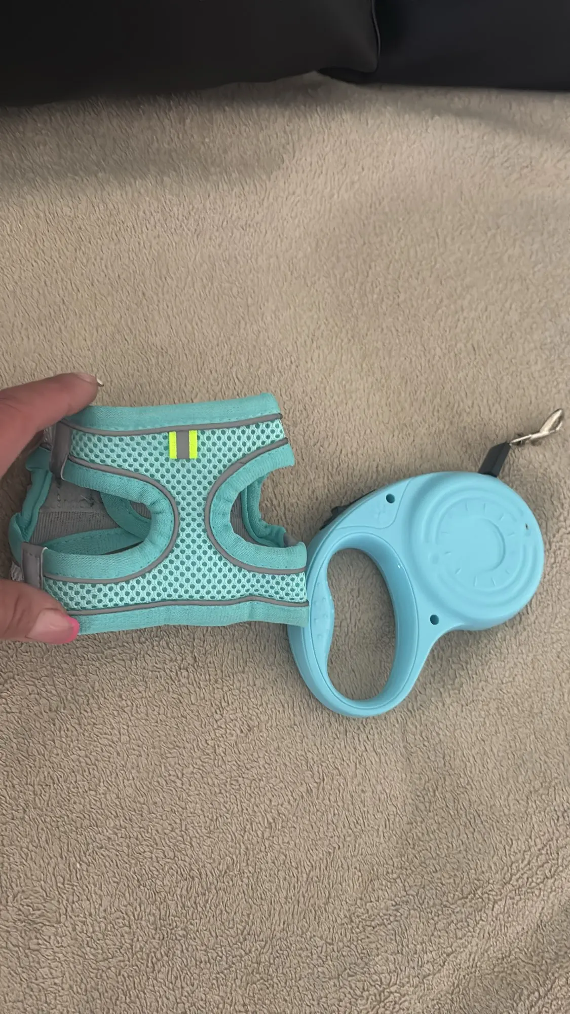 Harnais réglable pour petit chien et chat + laisse – Gilet pour Chihuahua, Bouledogue français, Carlin, promenade extérieure confortable photo review