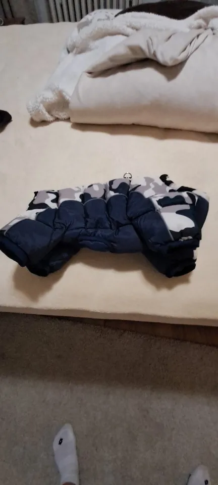 Ultimate Winter Warmth, Super-Thick Cotton Coat for Your French Bulldog photo review