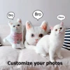 Personalized Photo DIY Pet Cushion Dog Cat Plush Toys Custom Washable Puppy Picture Pillow Memorial Stuffed Animal Birthday gift 3