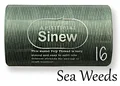 16. Sea Weeds