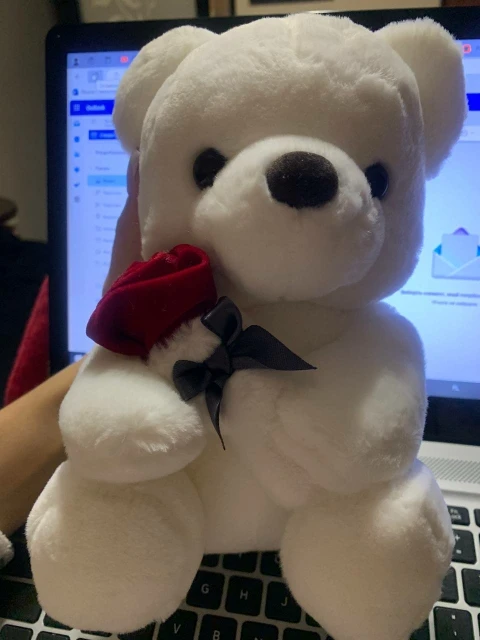 Kawaii Teddy Bear with Roses Soft Stuffed Doll photo review