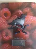 Изображение товара 4