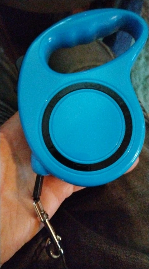 Pawsitive Steps: Automatic Retractable Leash for Small Dogs and Cats photo review