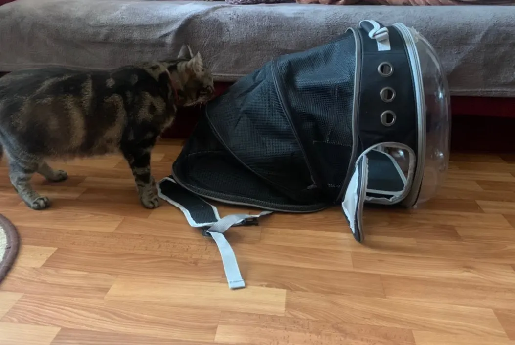 Astronaut Cat Backpack Astronaut Cat Bag photo review