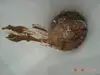 Изображение товара 5