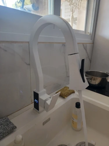 Robinet Mitigeur Cuisine avec Douchette Design photo review
