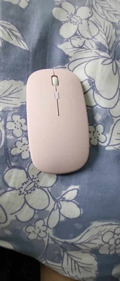Silent Wireless Rechargeable Mouse photo review