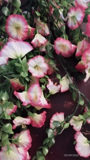 Artificial Flower New Artificial Hanging Flowers and Plants Easter Decoration 2025 UV-resistant and Realistic Room Decor Wedding photo review