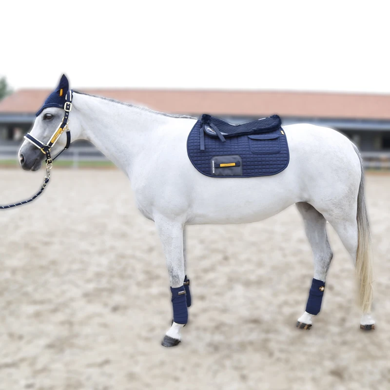 Luxury Equestrian Set Horse Halter Horse Rope Earmuffs Leggings Wool Pads Saddle Pad