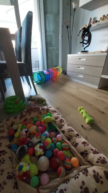 foldable Cat Tunnel Toy photo review
