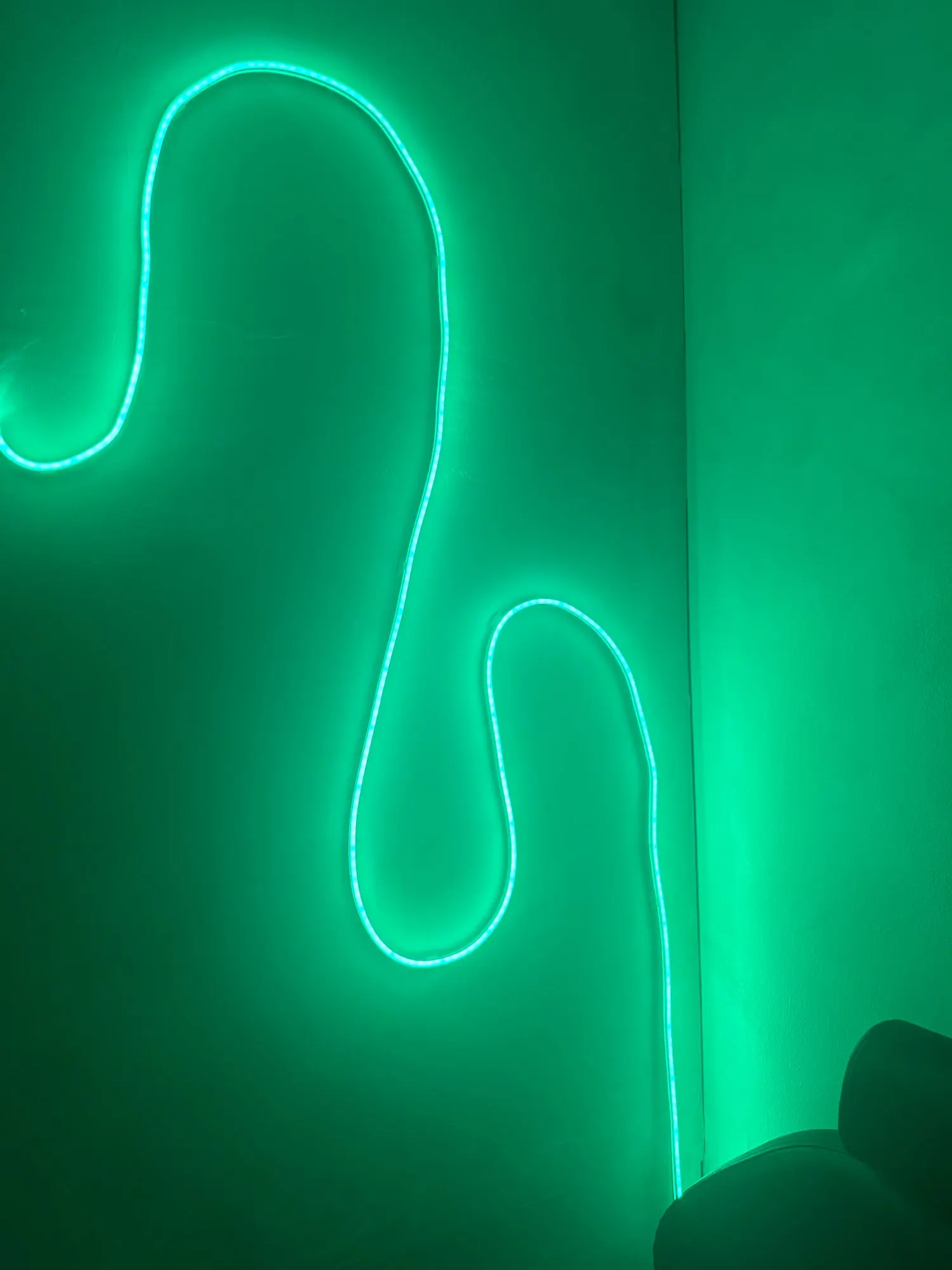 TUYA LED Strip Lights Wifi 12V RGBIC Neon Rope Lights With Music Sync photo review