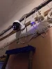 Изображение товара 5