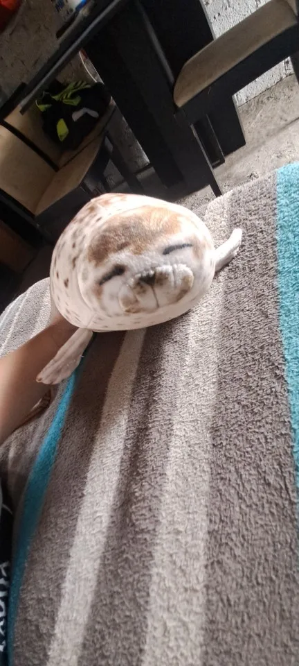 Foquinha Serena Fofeza® de Pelúcia