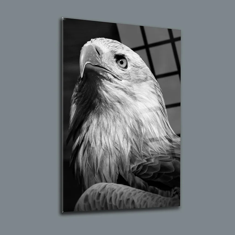 

White Eagle Decor, Glass Wall Art, Frameless Free Floating Tempered Glass Panel, Home Office Living Room Decoration,