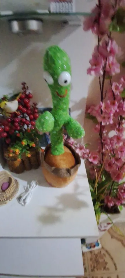 Intelligent Cactus Interactive Learning and Musical Toy for Kids to Dance Record and Speak with Fun photo review
