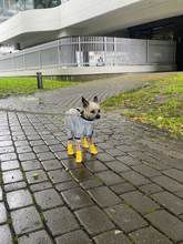 SuperTop Shop | Warm Anti Slip Shoes for Dogs 4 pcs Set